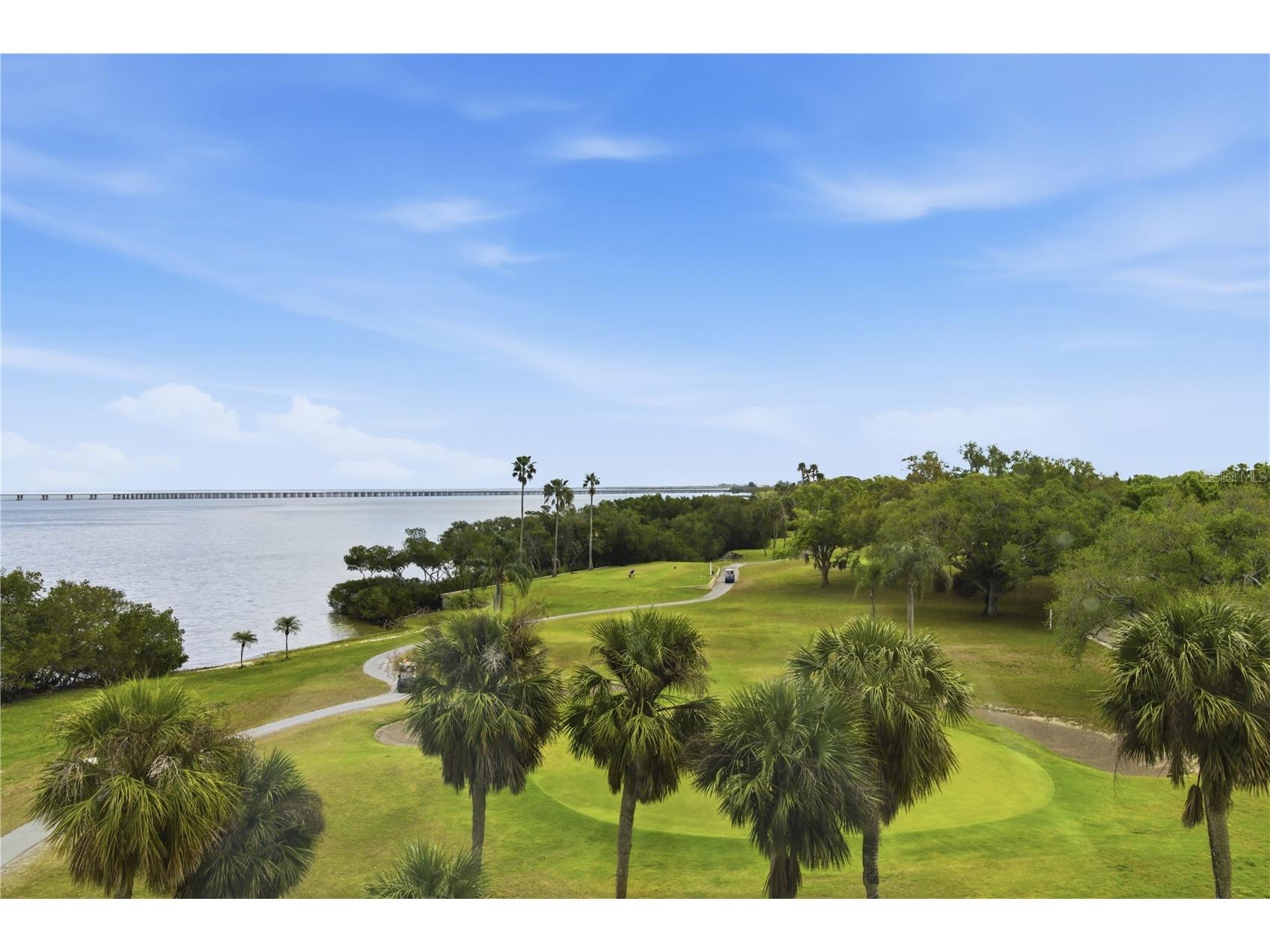 2616 Cove Cay Drive #502 Clearwater FL 33760 - TAMPA BAY TB8484987 image5