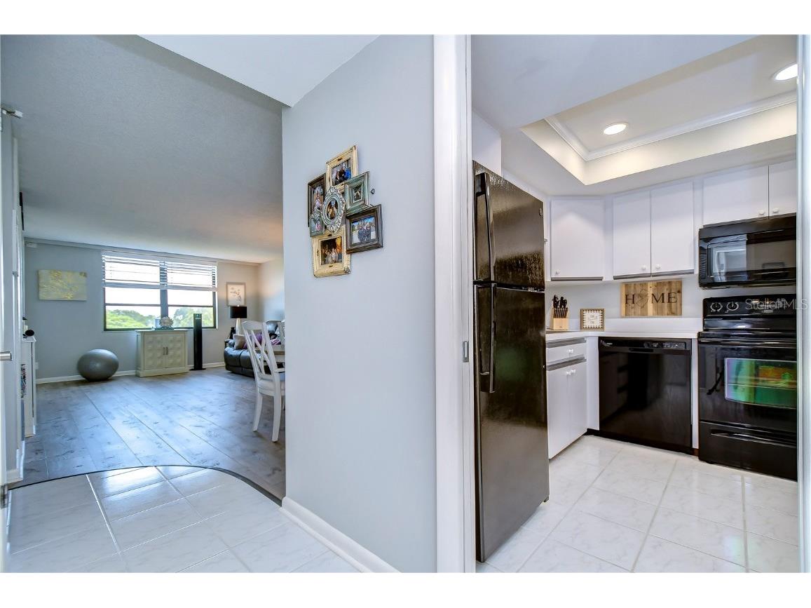 2616 Cove Cay Drive #506 Clearwater FL 33760 TB8449504 image18