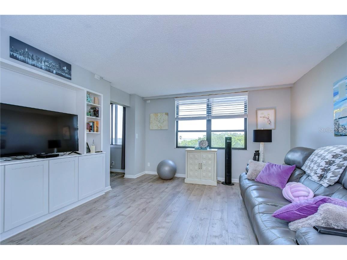 2616 Cove Cay Drive #506 Clearwater FL 33760 TB8449504 image24