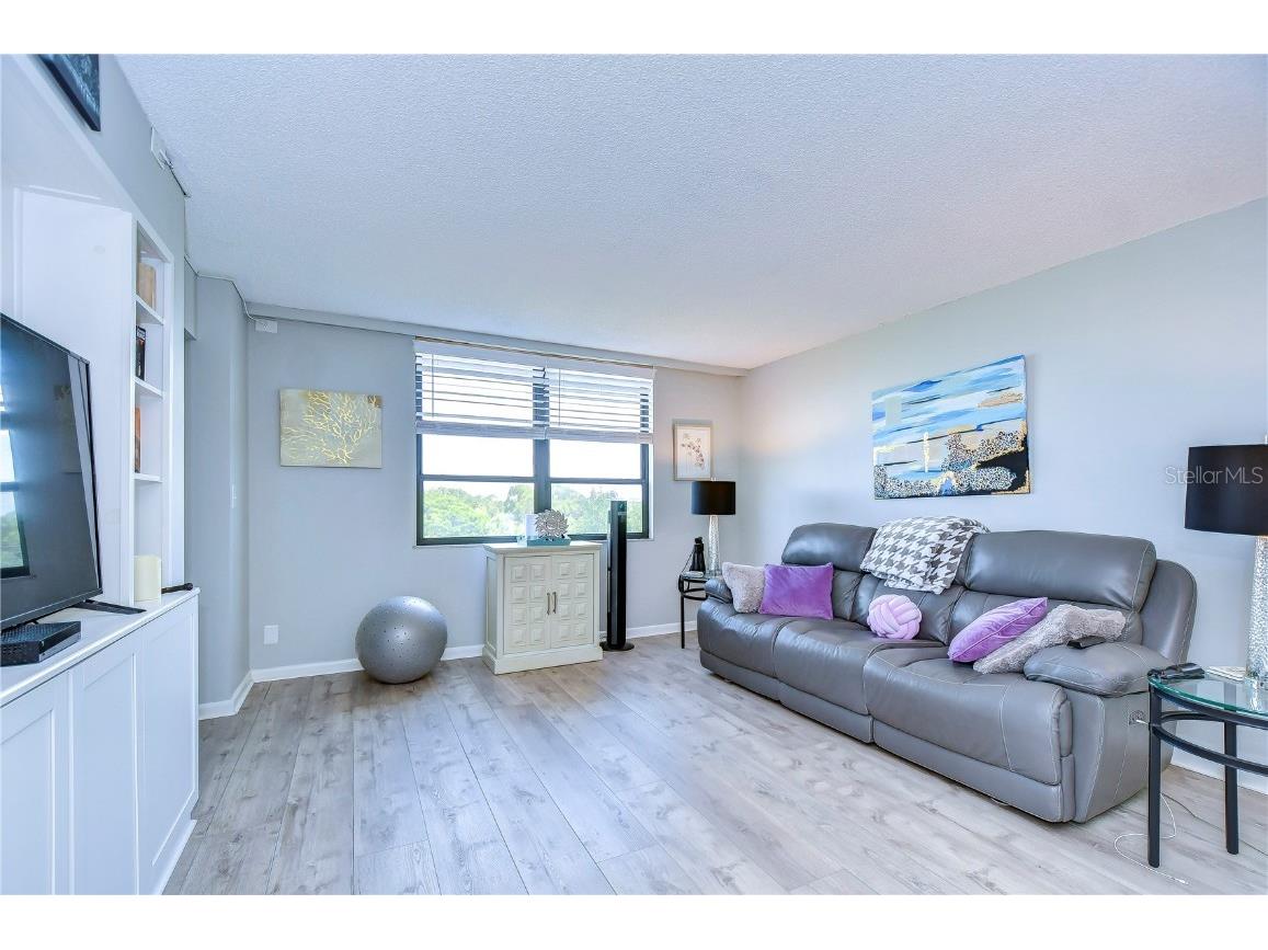 2616 Cove Cay Drive #506 Clearwater FL 33760 TB8449504 image25