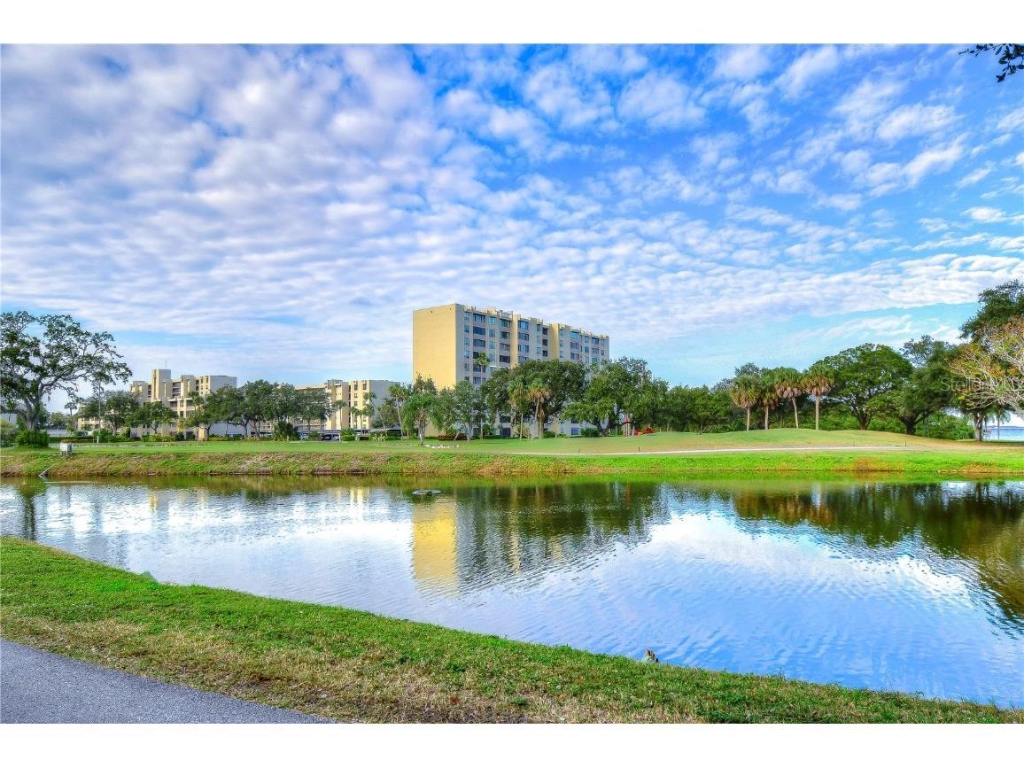 2616 Cove Cay Drive #506 Clearwater FL 33760 TB8449504 image49
