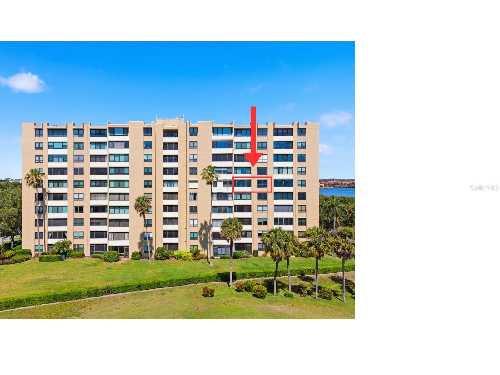 2616 Cove Cay Drive #602 Clearwater FL 33760 TB8499244 image3