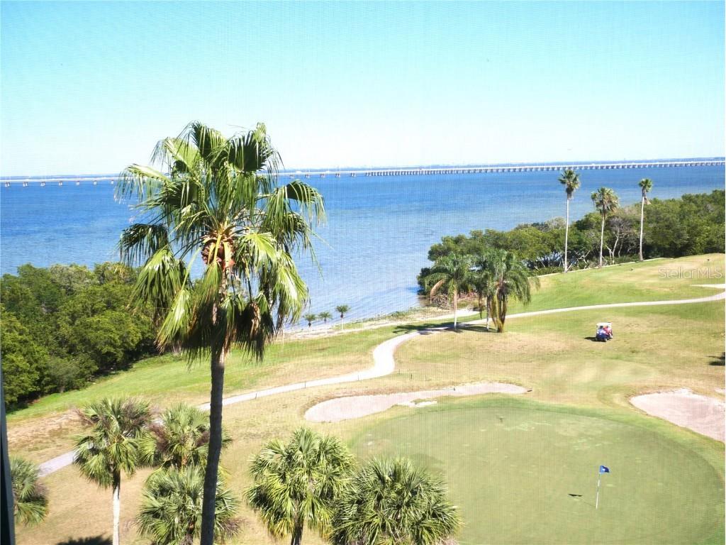 2616 Cove Cay Drive #704 Clearwater FL 33760 U8196563 image1