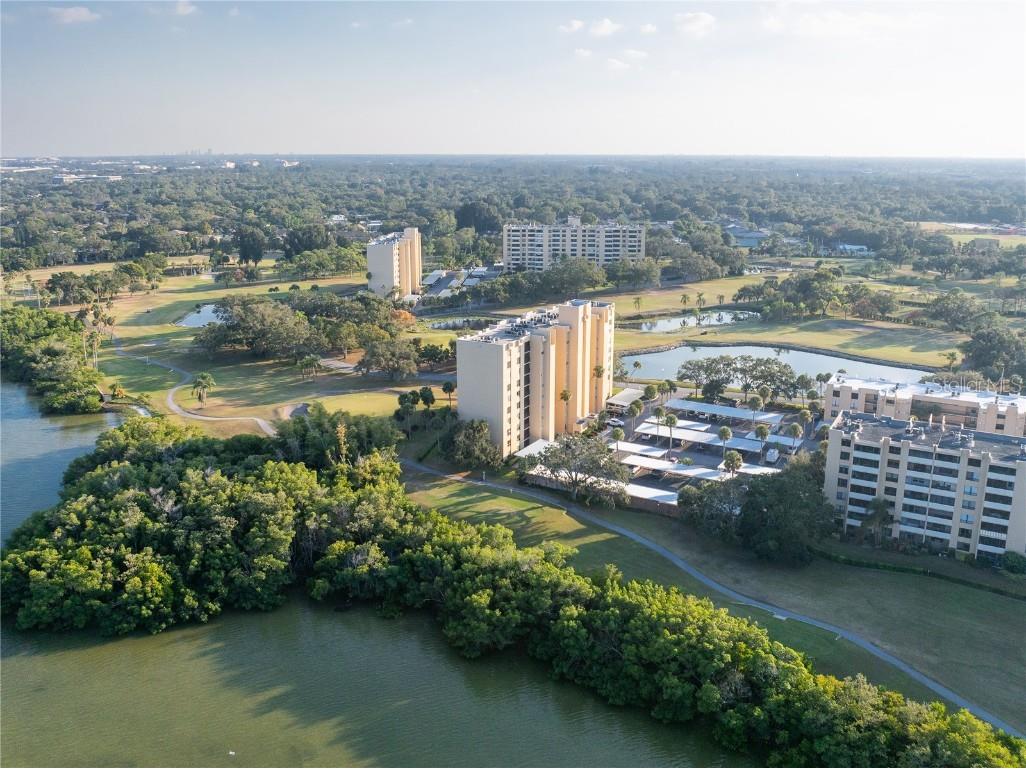 2616 Cove Cay Drive #802 Clearwater FL 33760 TB8453060 image19