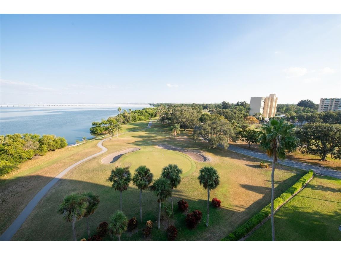 2616 Cove Cay Drive #802 Clearwater FL 33760 TB8453060 image34
