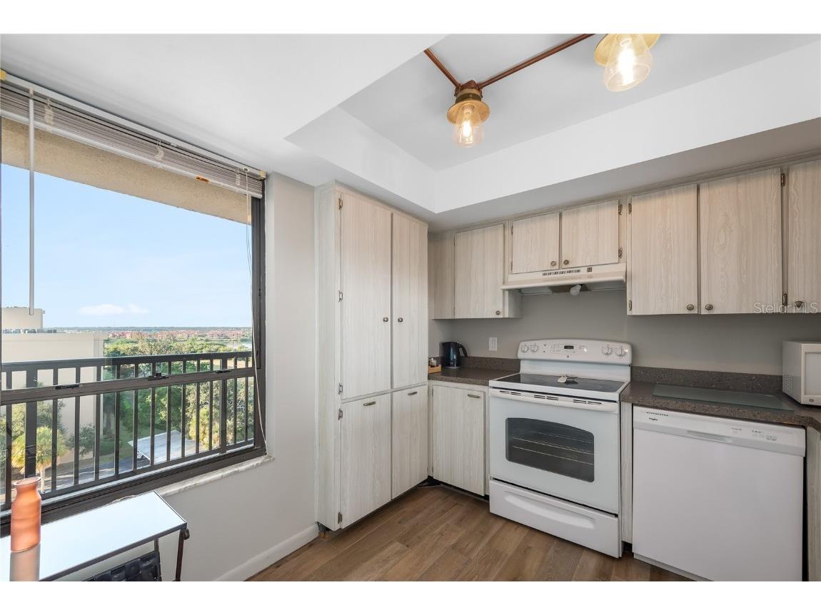 2616 Cove Cay Drive #802 Clearwater FL 33760 TB8453060 image6