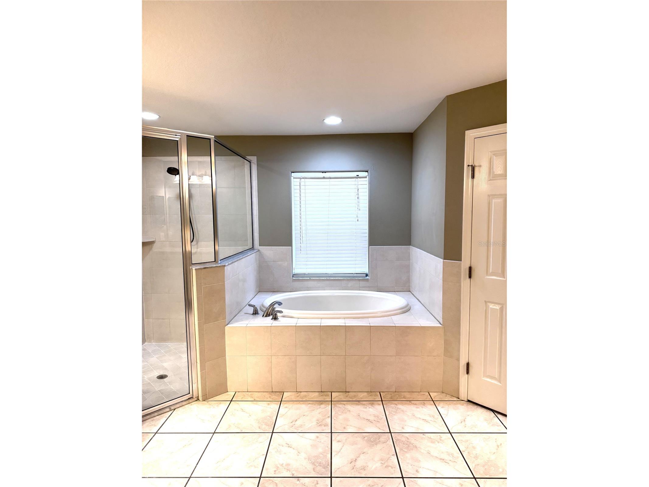 2616 Hickory View Loop Lakeland FL 33813 L4959938 image22