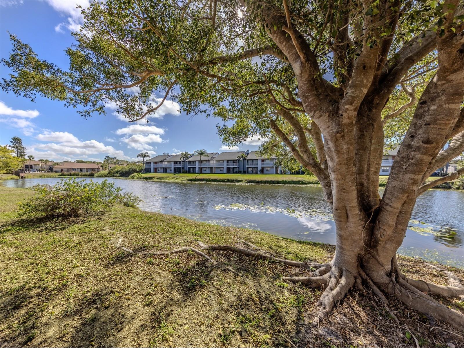 2616 Hidden Lake Drive N #A Sarasota FL 34237 A4684833 image2