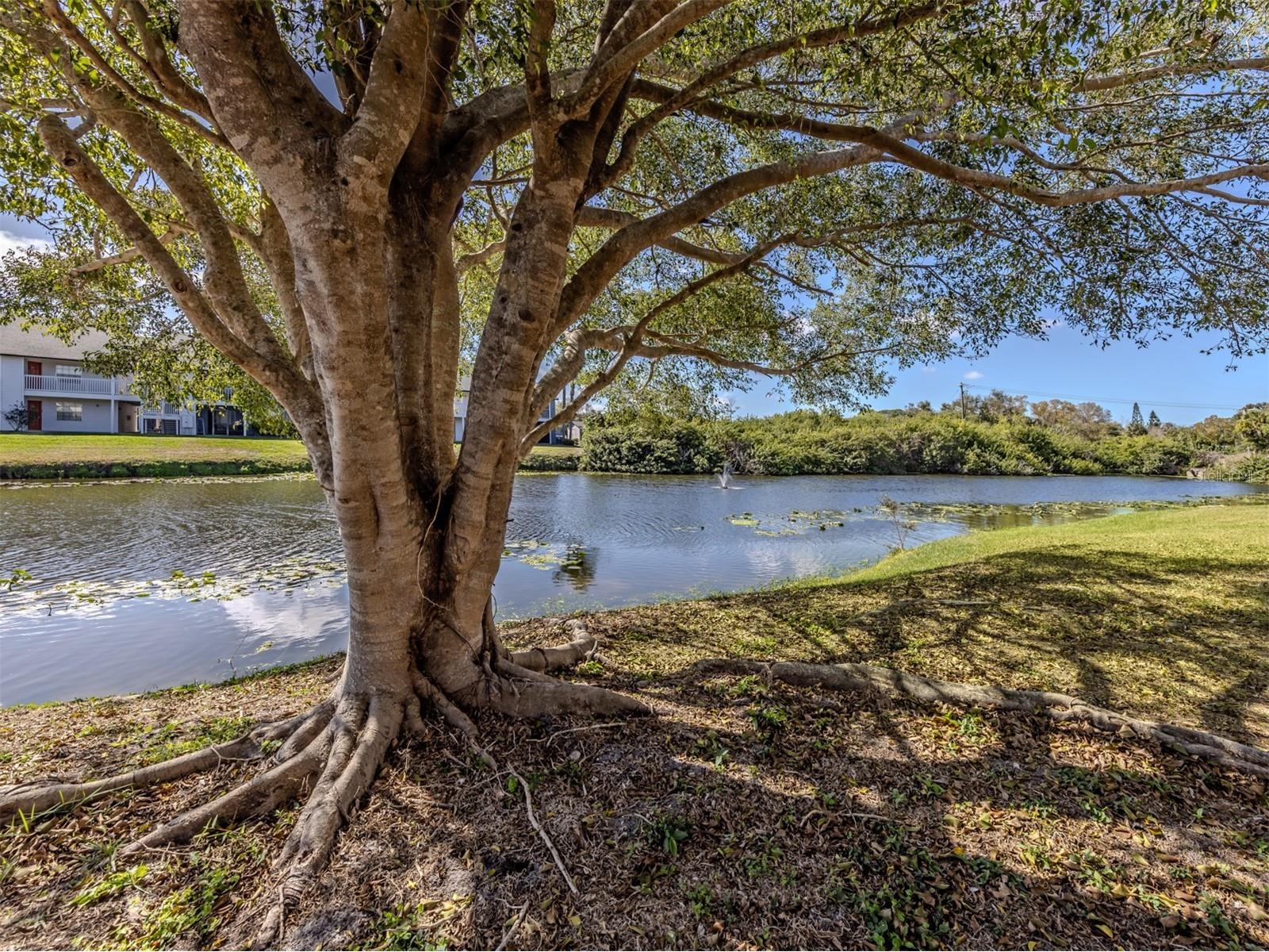 2616 Hidden Lake Drive N #A Sarasota FL 34237 A4684833 image22