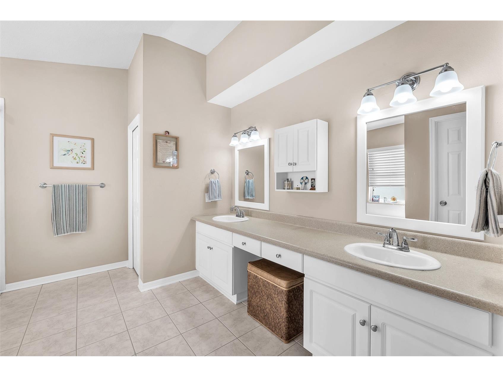 2616 Vinedale Avenue Valrico FL 33596 TB8442645 image12