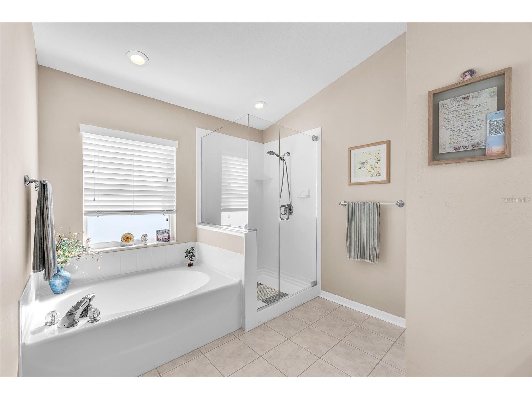 2616 Vinedale Avenue Valrico FL 33596 TB8442645 image14