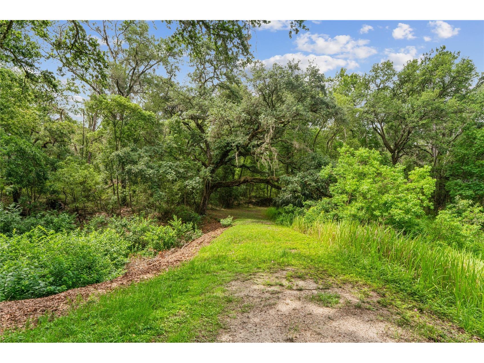 26168 Blackjack Street Brooksville FL 34601 TB8513118 image54