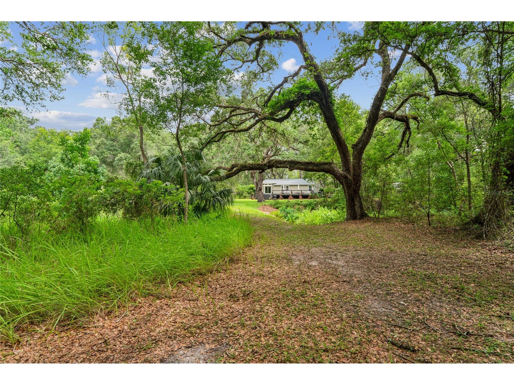 26168 Blackjack Street Brooksville FL 34601 TB8513118 image55