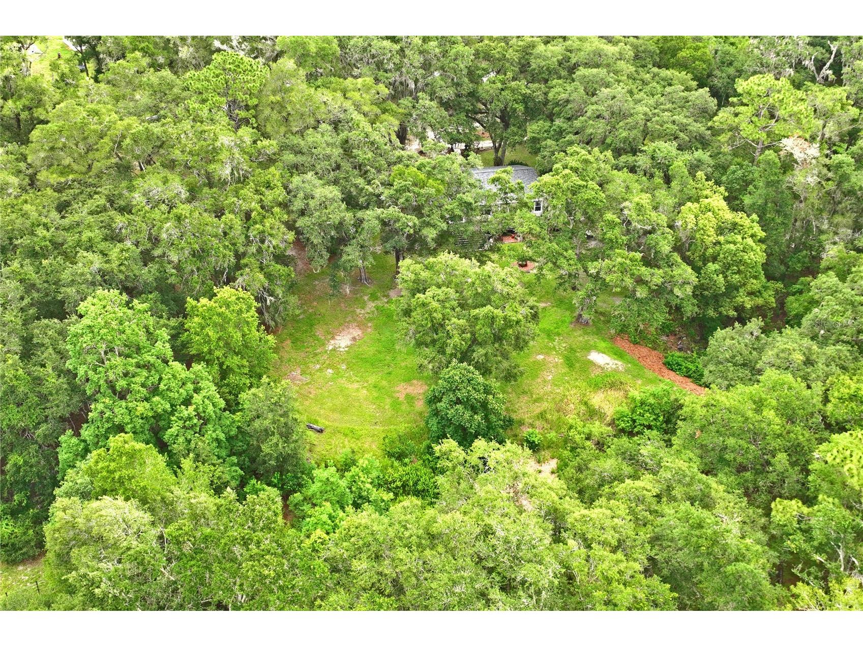 26168 Blackjack Street Brooksville FL 34601 TB8513118 image59