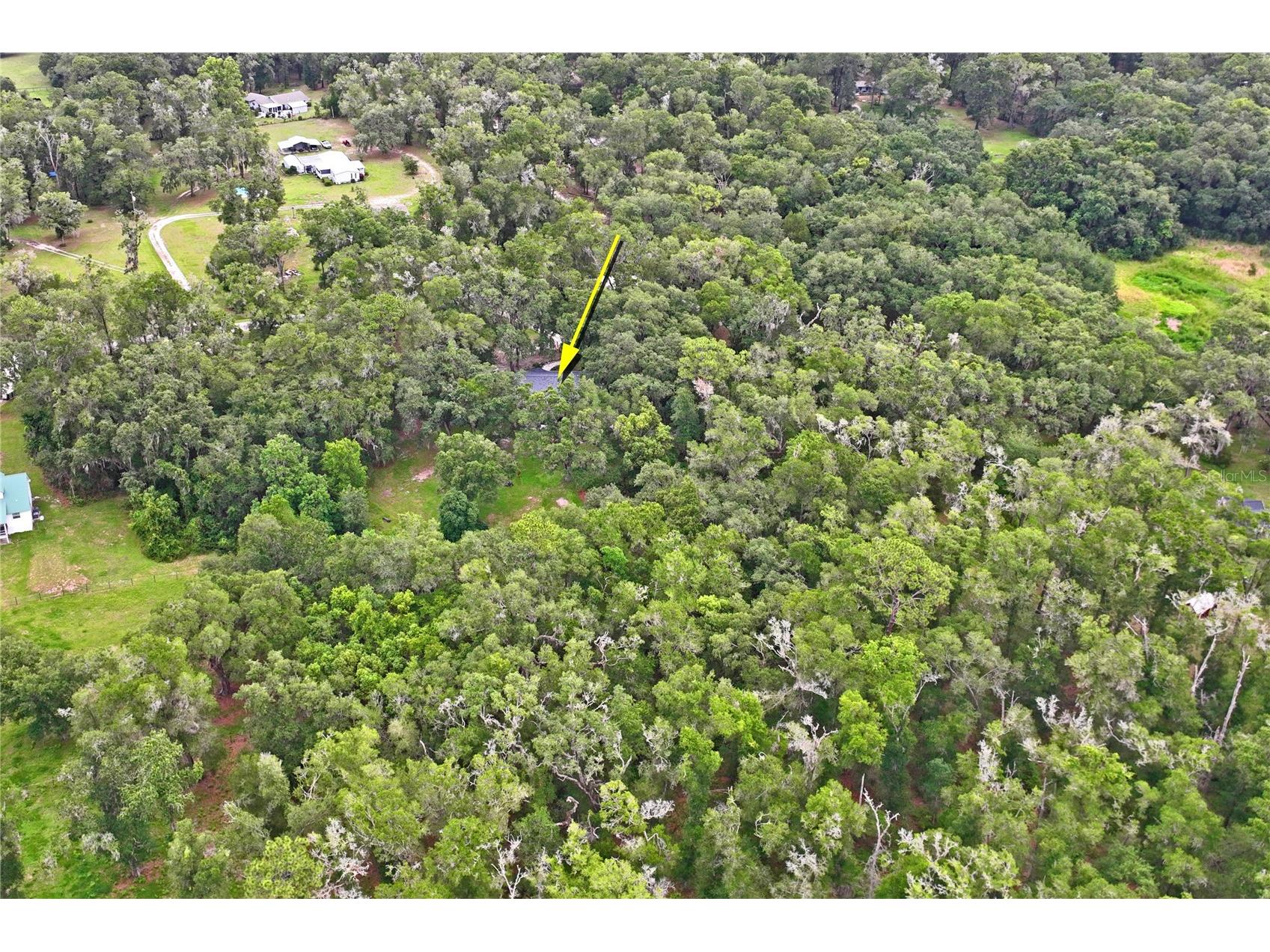 26168 Blackjack Street Brooksville FL 34601 TB8513118 image79