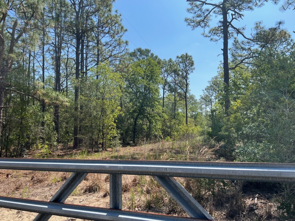 26169 Ash Street Brooksville FL 34601 W7857242 image1