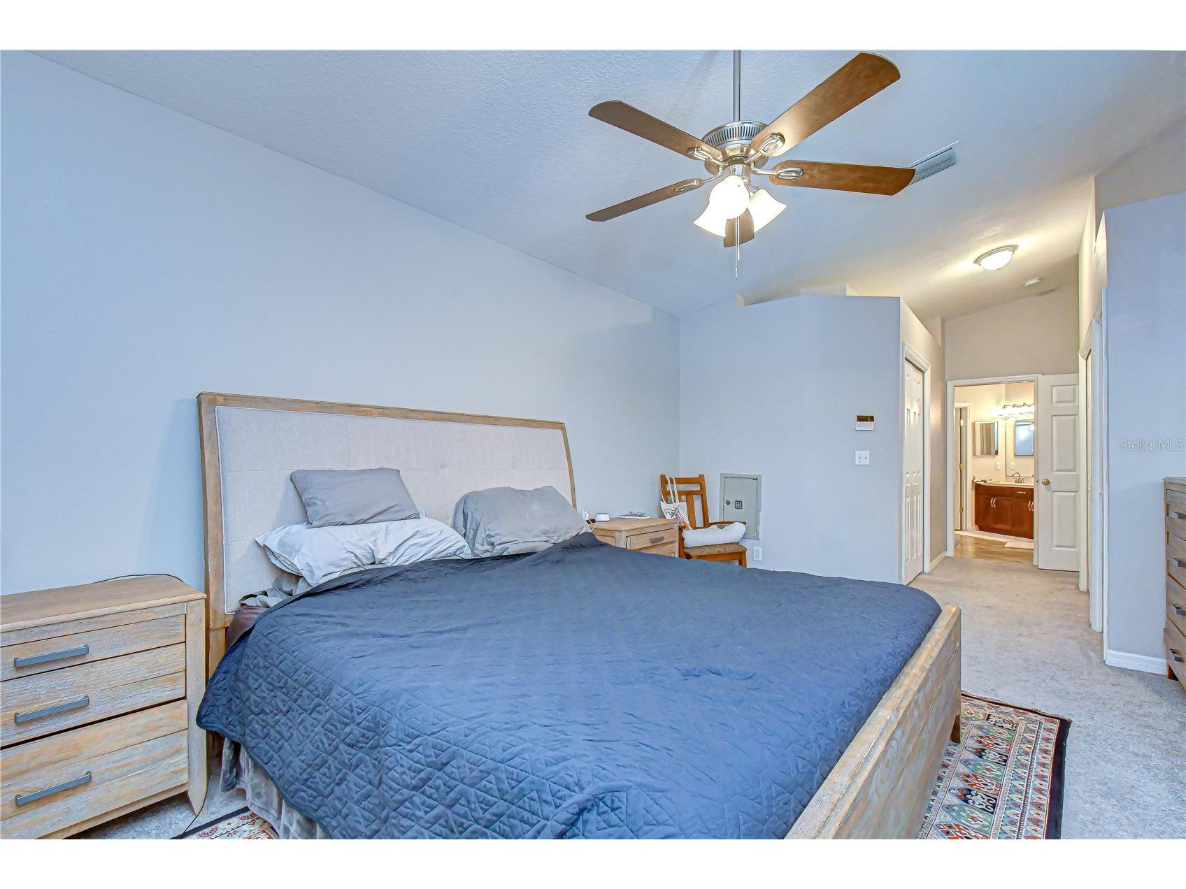 2617 Allwood Avenue Valrico FL 33596 TB8505705 image16