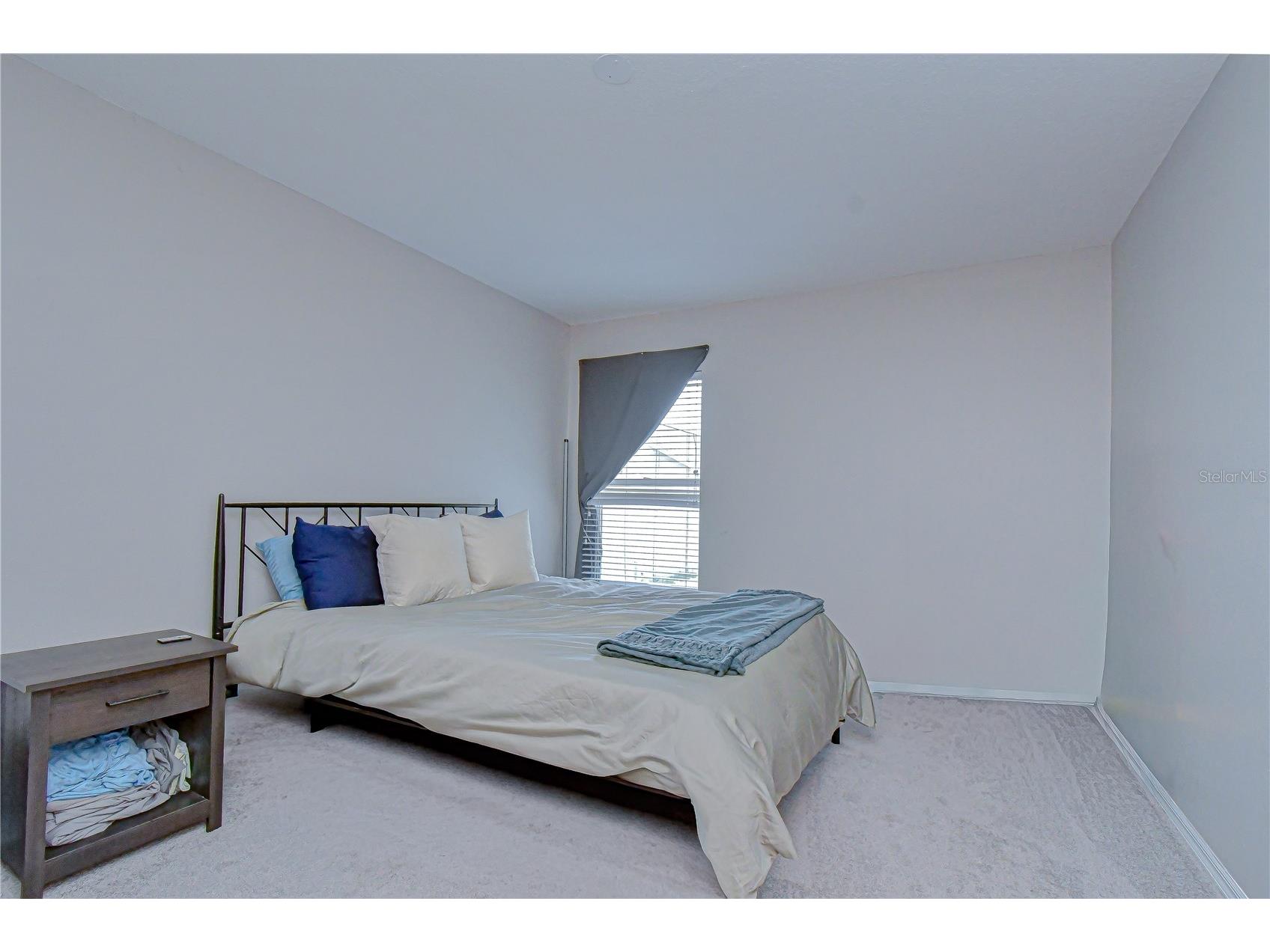 2617 Allwood Avenue Valrico FL 33596 TB8505705 image19
