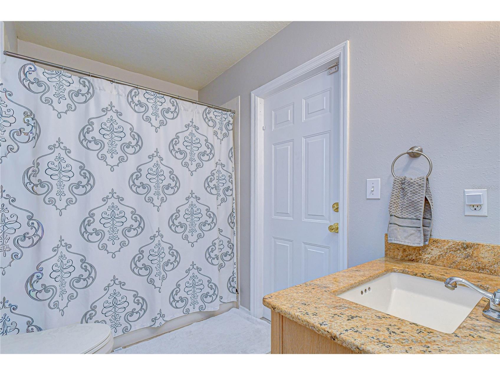 2617 Allwood Avenue Valrico FL 33596 TB8505705 image22