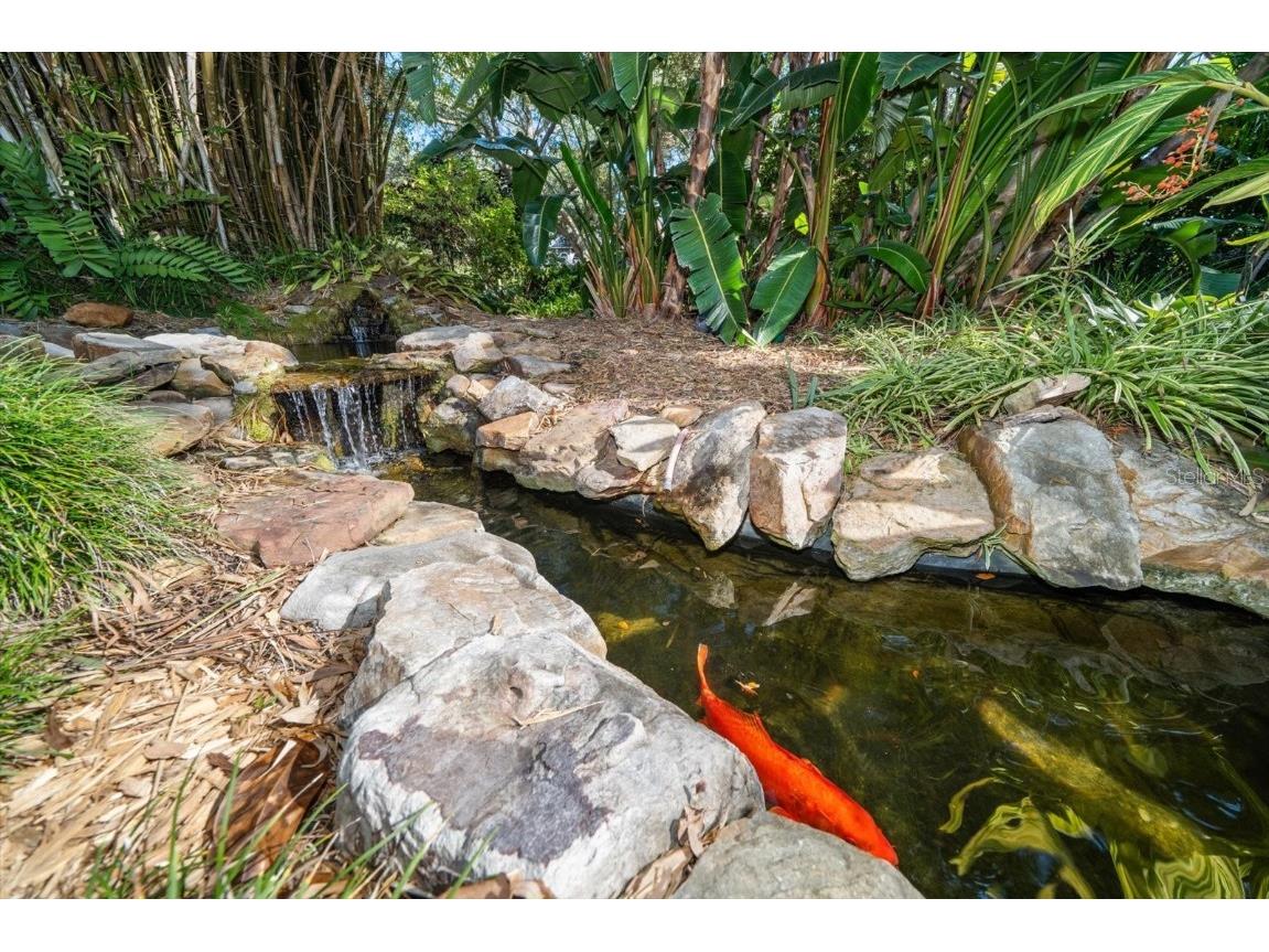 2617 Beagle Path Way Palm Harbor FL 34683 TB8452276 image50