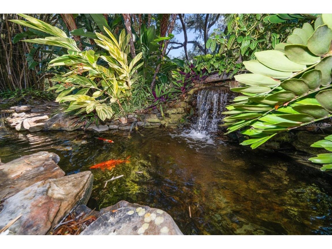 2617 Beagle Path Way Palm Harbor FL 34683 TB8452276 image51