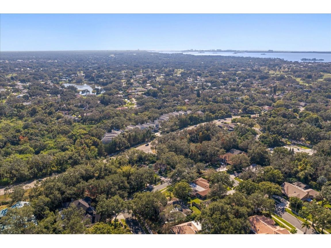 2617 Beagle Path Way Palm Harbor FL 34683 TB8452276 image54