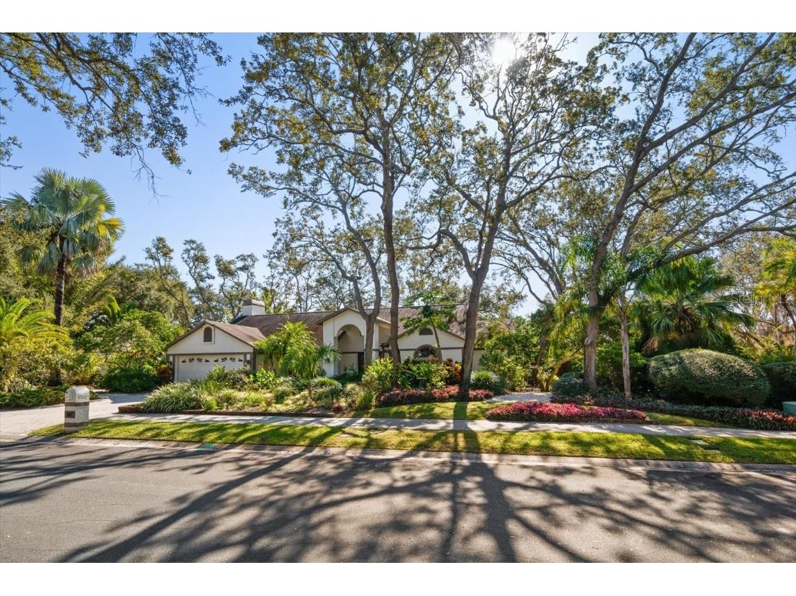 2617 Beagle Path Way Palm Harbor FL 34683 TB8452276 image59