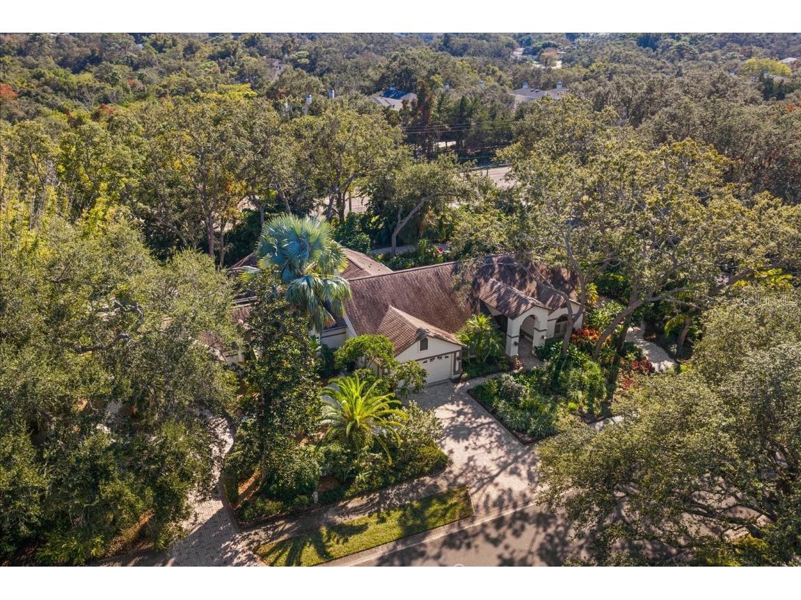 2617 Beagle Path Way Palm Harbor FL 34683 TB8452276 image64