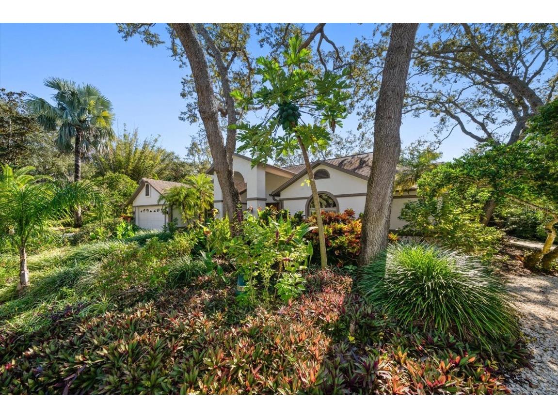 2617 Beagle Path Way Palm Harbor FL 34683 TB8452276 image65