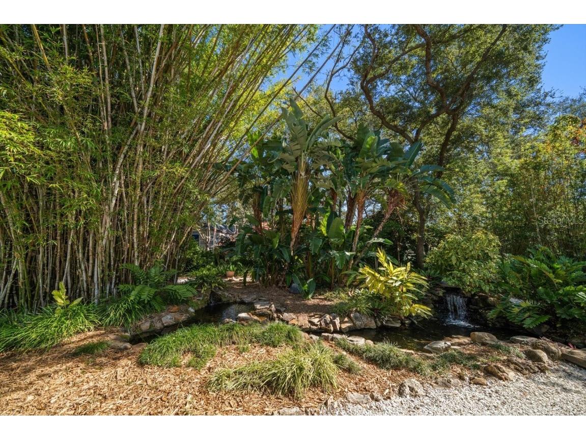 2617 Beagle Path Way Palm Harbor FL 34683 TB8452276 image69