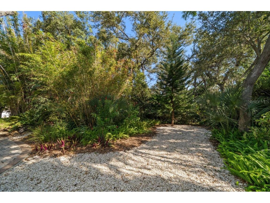 2617 Beagle Path Way Palm Harbor FL 34683 TB8452276 image70