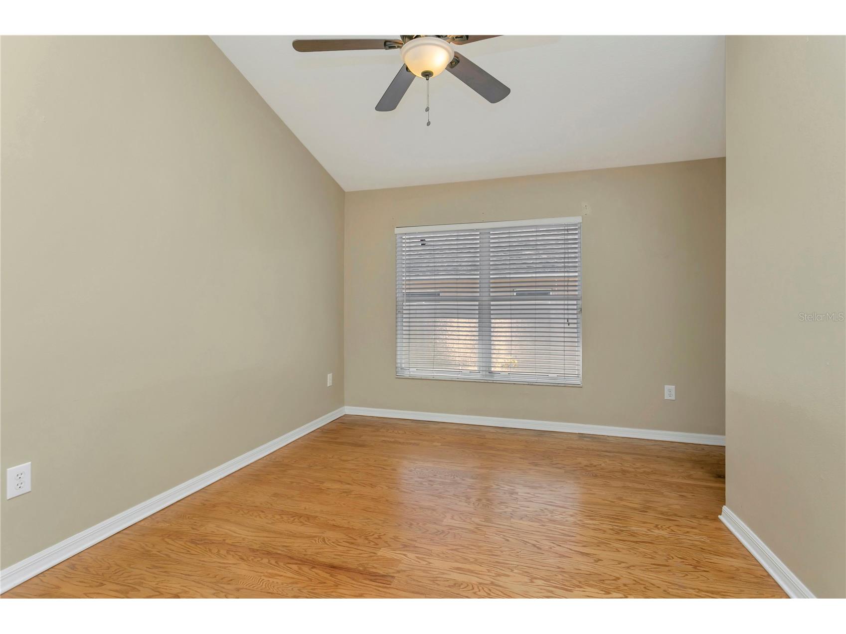 2617 Buckhorn Preserve Boulevard Valrico FL 33596 TB8497934 image11