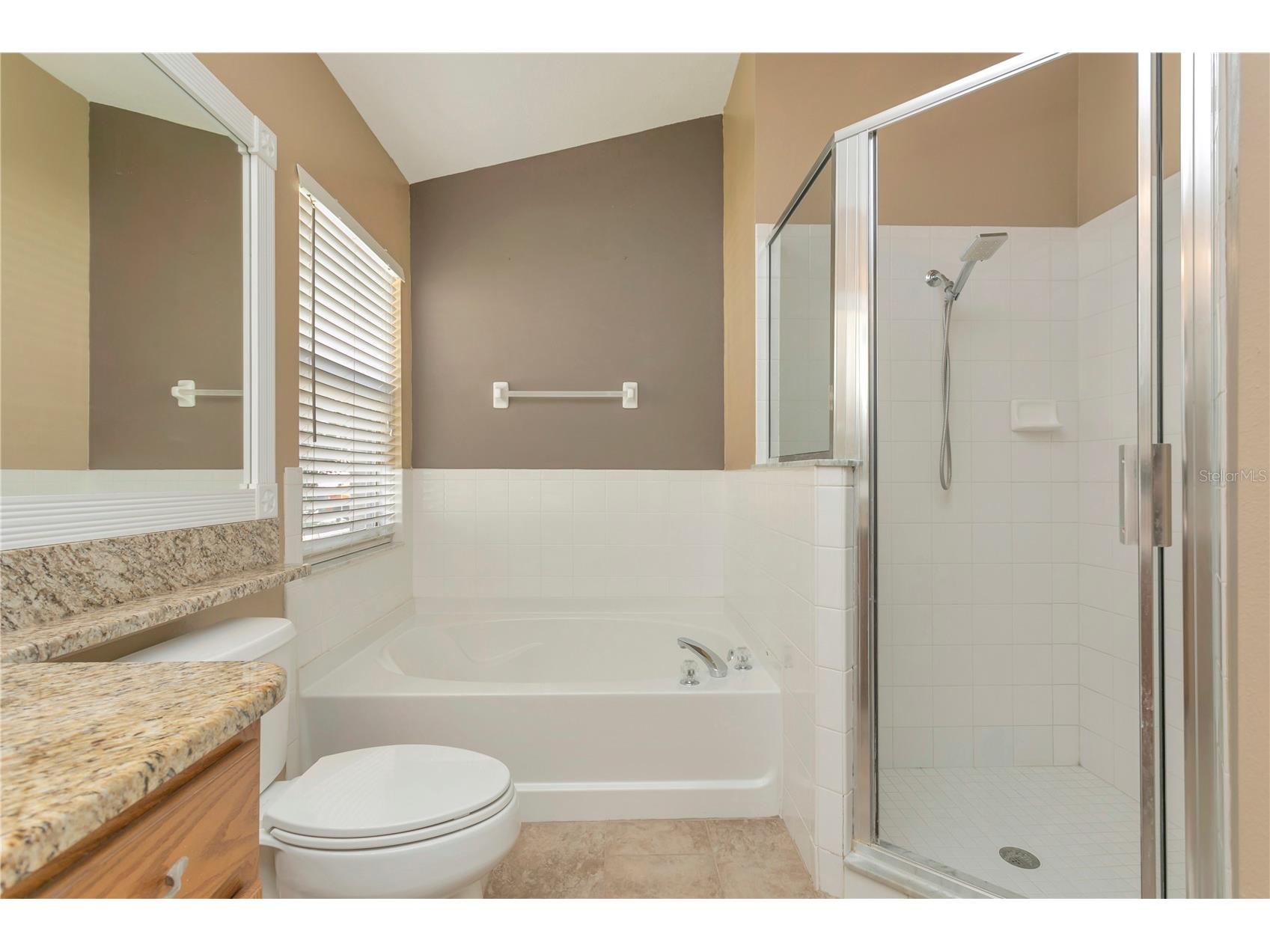 2617 Buckhorn Preserve Boulevard Valrico FL 33596 TB8497934 image37