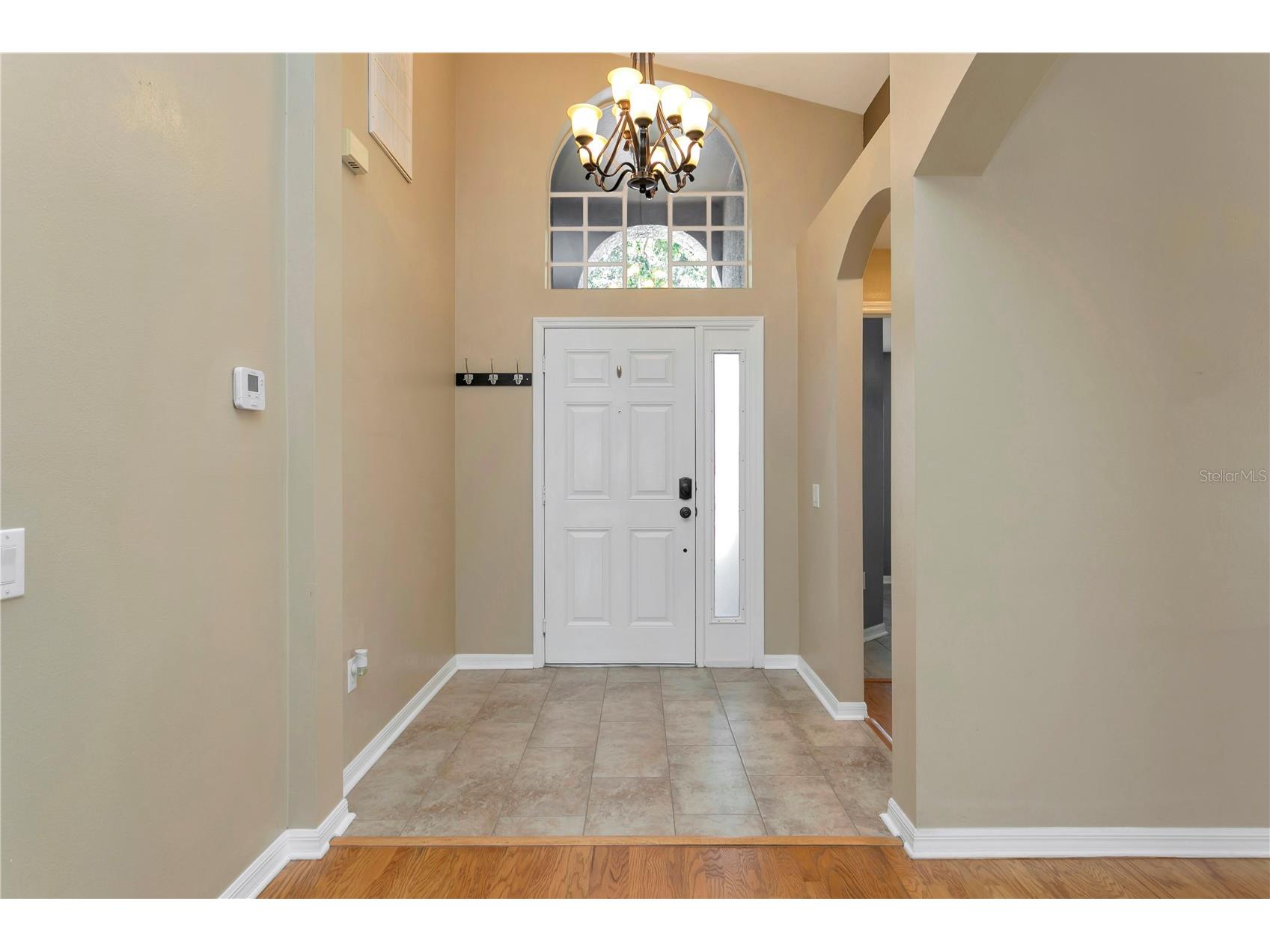 2617 Buckhorn Preserve Boulevard Valrico FL 33596 TB8497934 image7