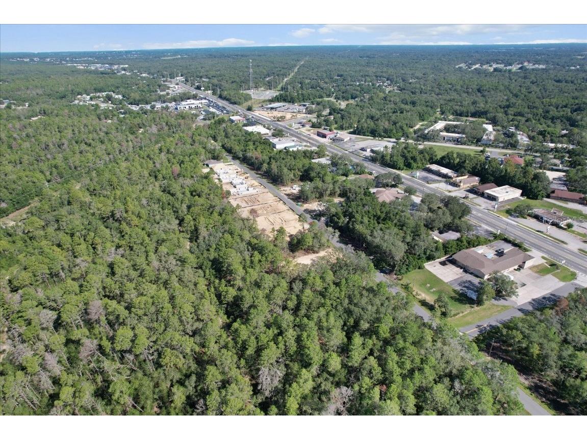 2617 Clearwood Street Inverness FL 34452 OM707763 image16