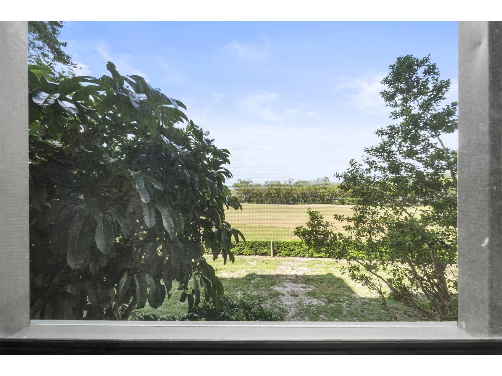 2617 Cove Cay Drive #206 Clearwater FL 33760 TB8507988 image29