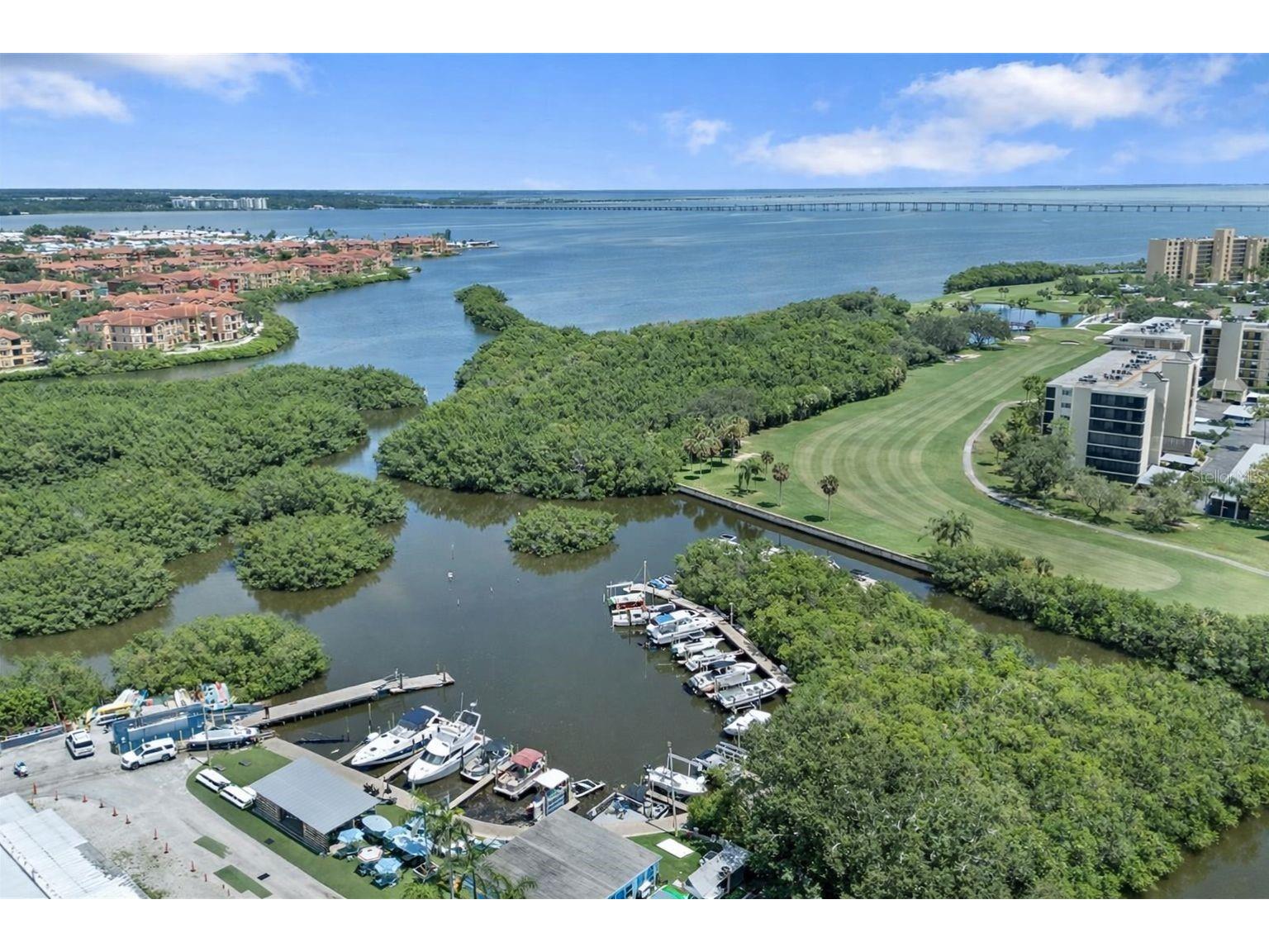 2617 Cove Cay Drive #301 Clearwater FL 33760 TB8495514 image33