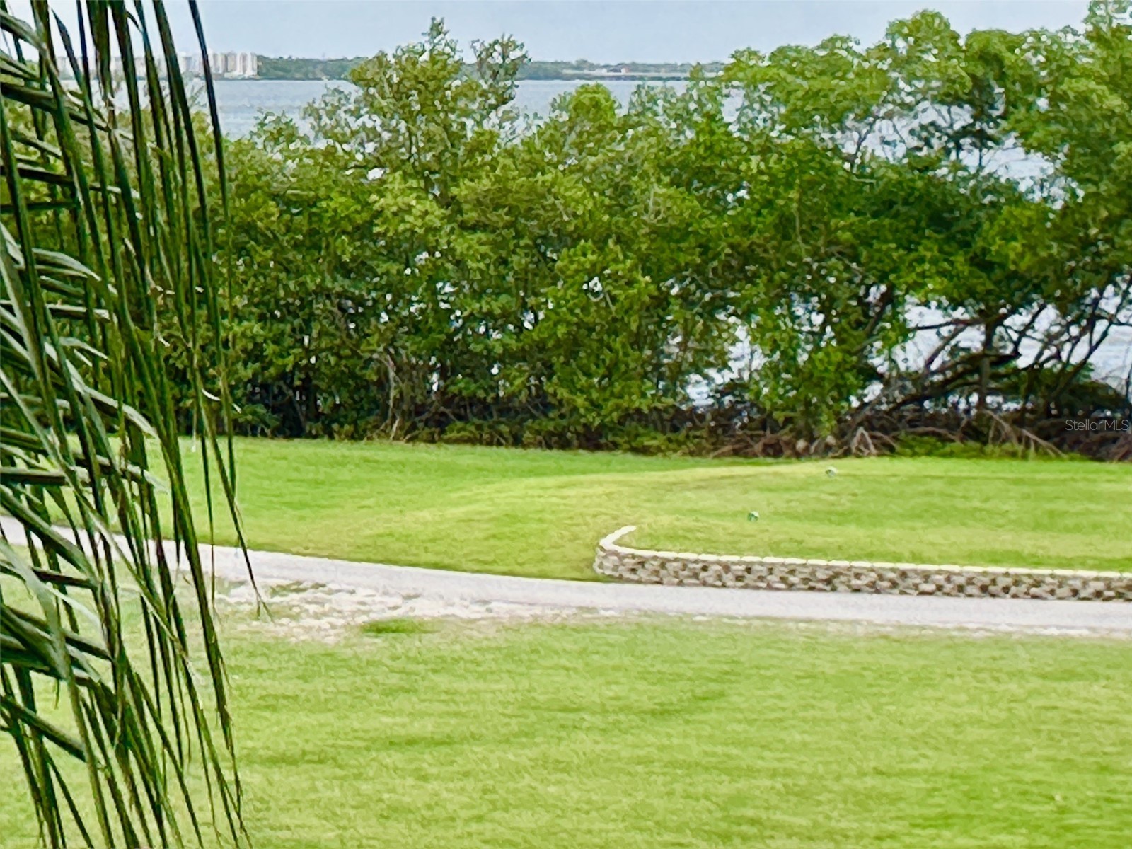 2617 Cove Cay Drive #311 Clearwater FL 33760 TB8514785 image1
