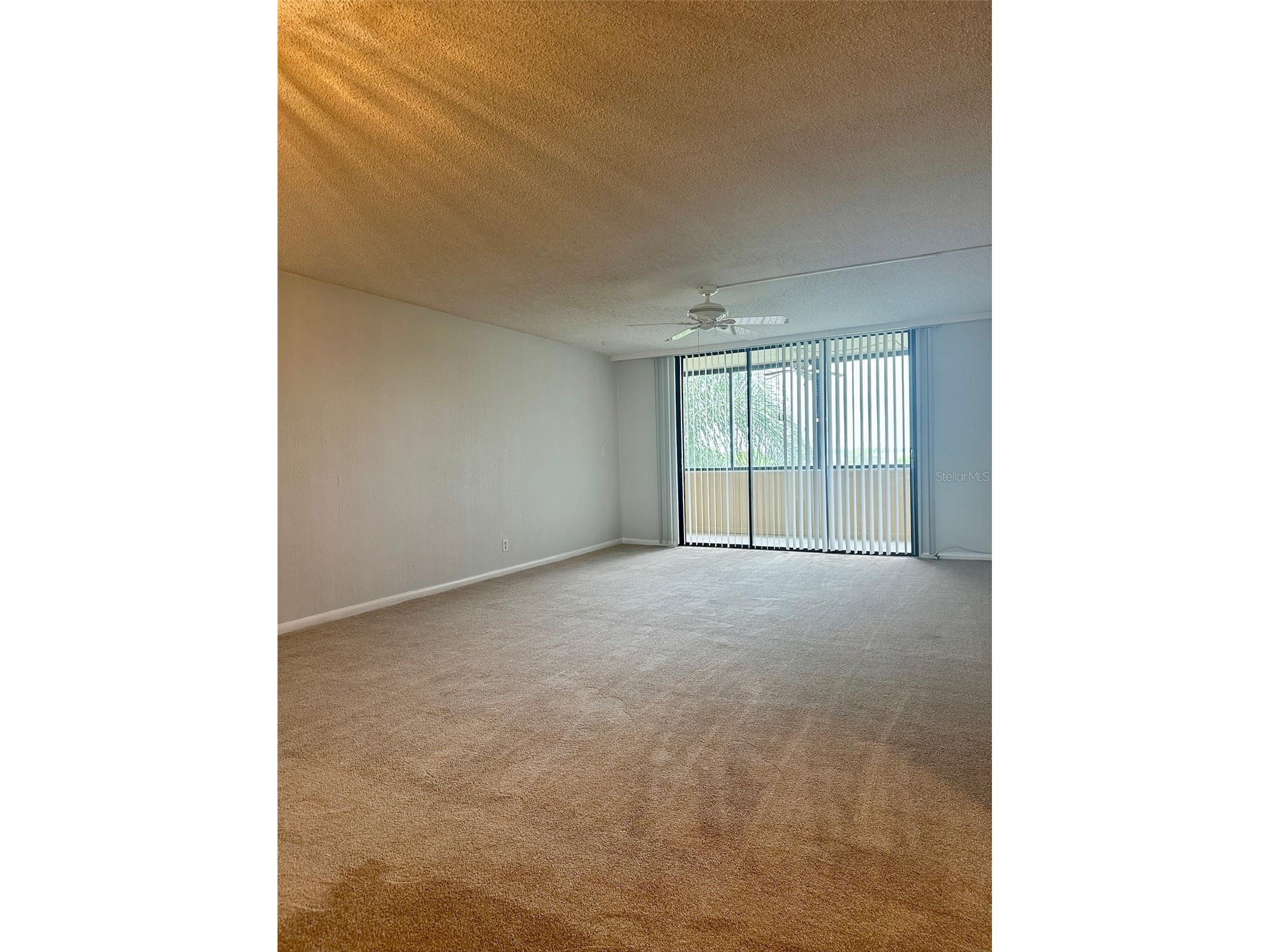 2617 Cove Cay Drive #311 Clearwater FL 33760 TB8514785 image13