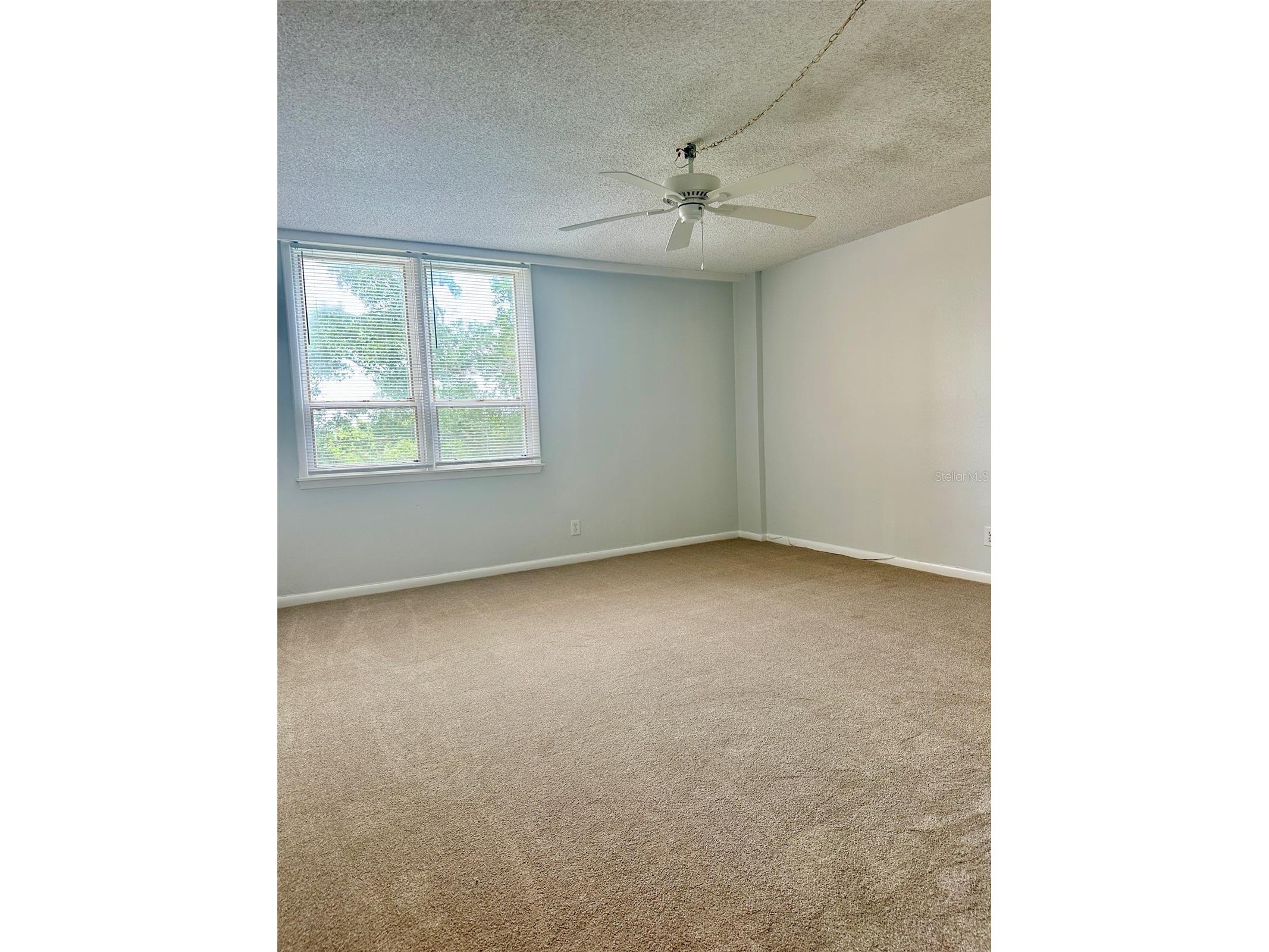 2617 Cove Cay Drive #311 Clearwater FL 33760 TB8514785 image21