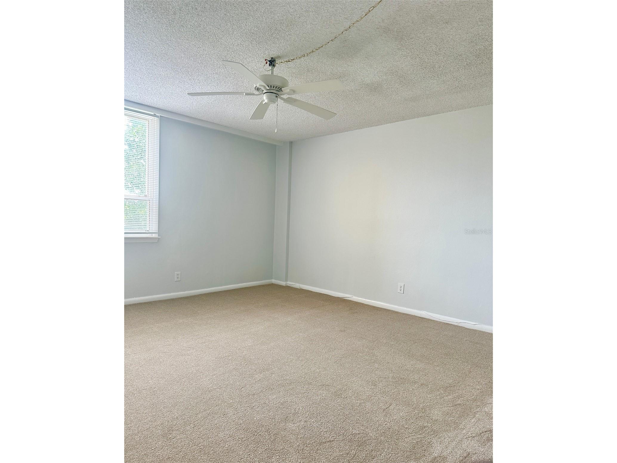 2617 Cove Cay Drive #311 Clearwater FL 33760 TB8514785 image22