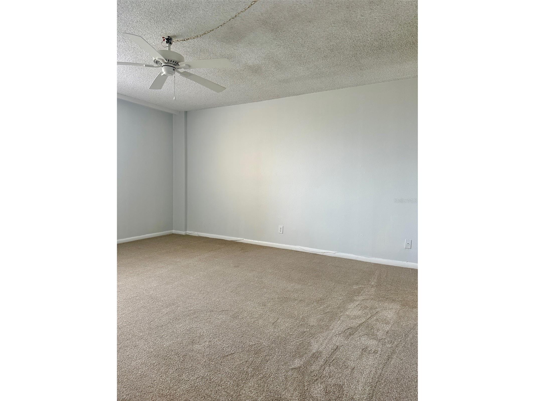 2617 Cove Cay Drive #311 Clearwater FL 33760 TB8514785 image23