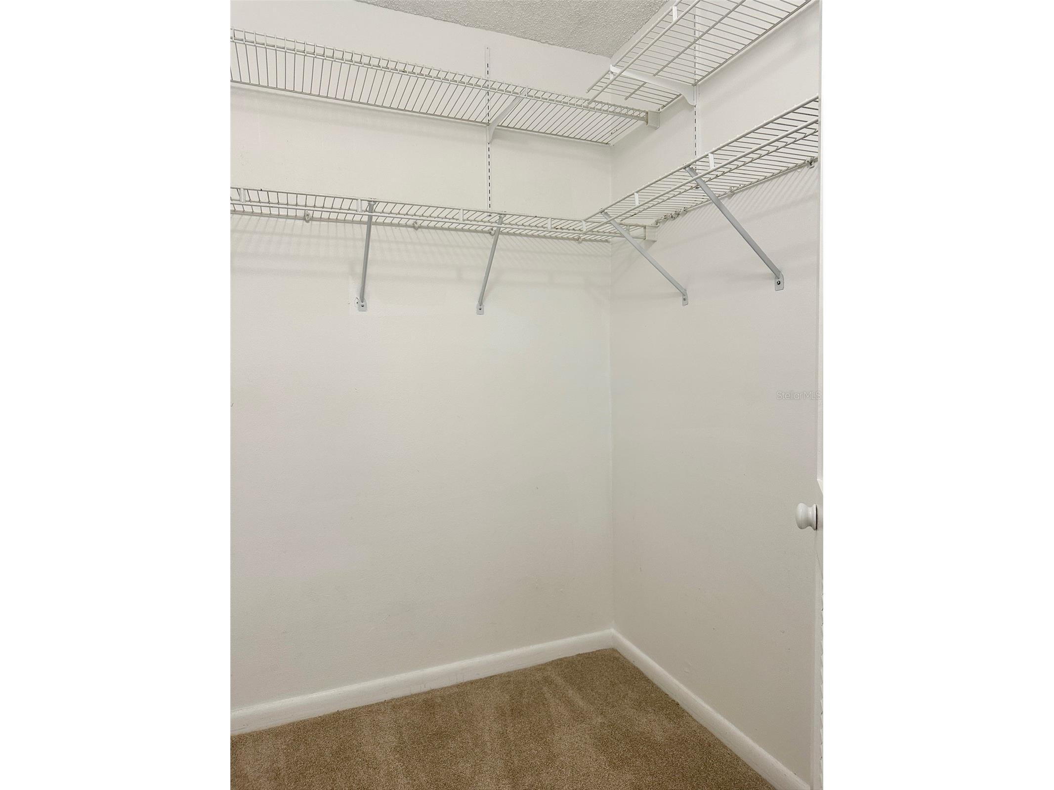 2617 Cove Cay Drive #311 Clearwater FL 33760 TB8514785 image27