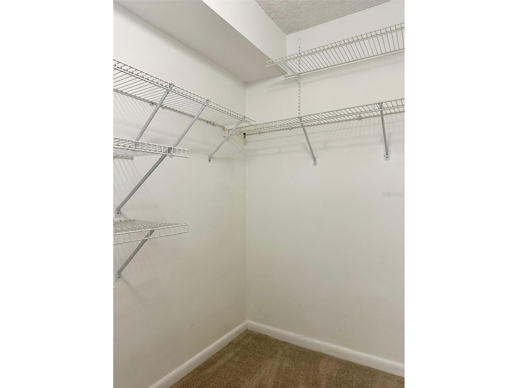 2617 Cove Cay Drive #311 Clearwater FL 33760 TB8514785 image28