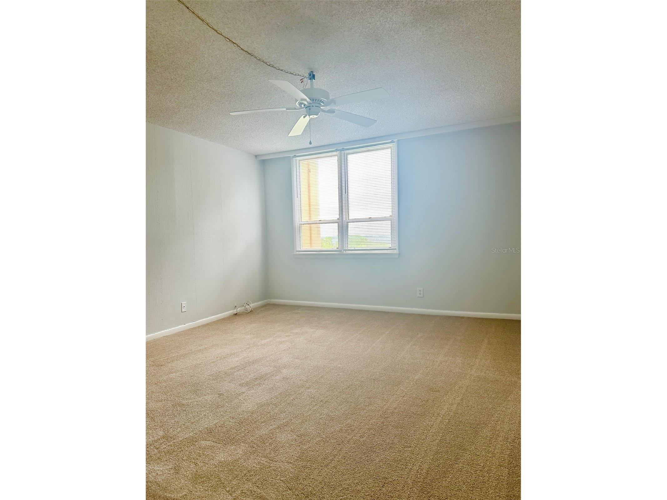 2617 Cove Cay Drive #311 Clearwater FL 33760 TB8514785 image31