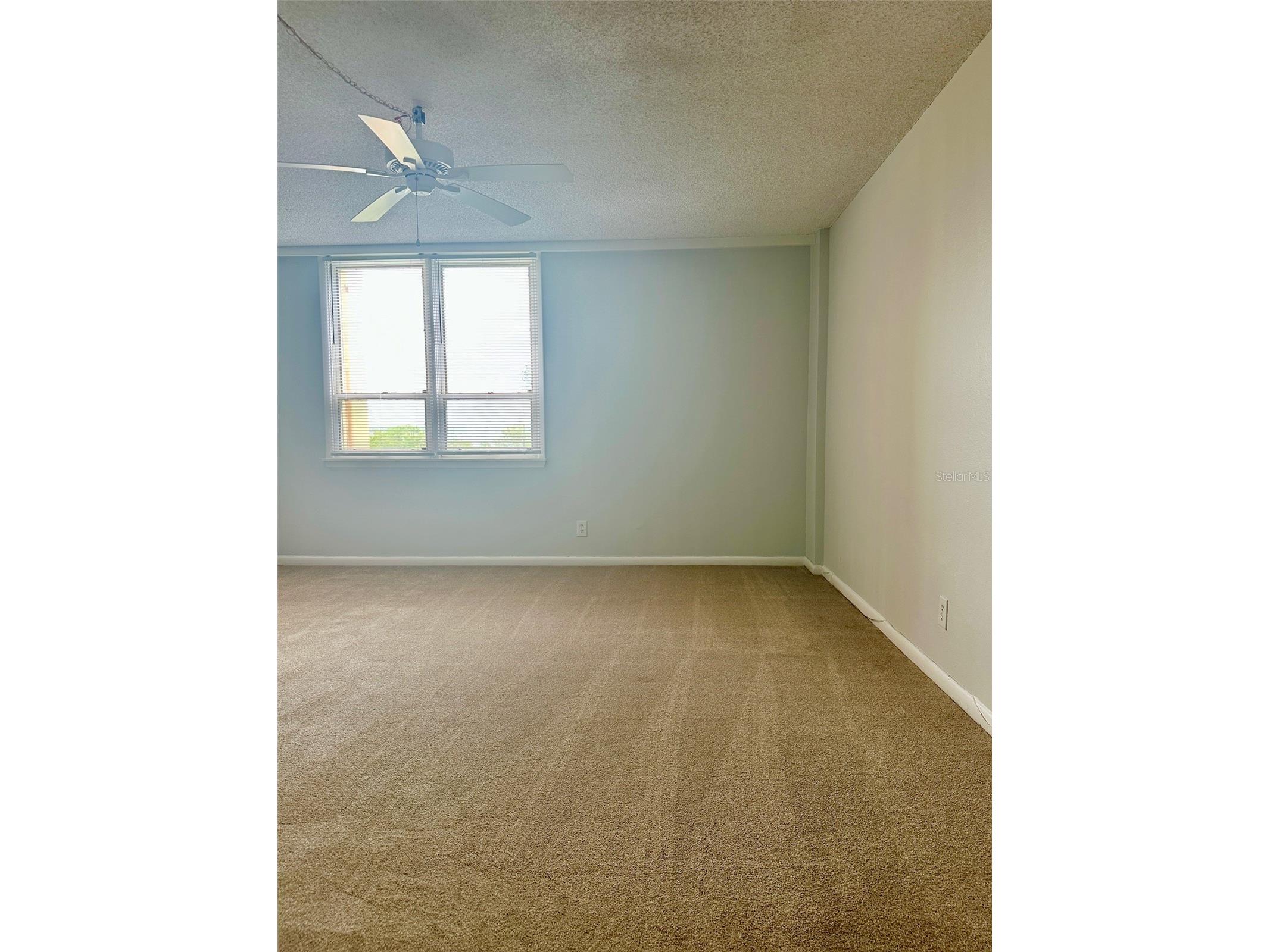2617 Cove Cay Drive #311 Clearwater FL 33760 TB8514785 image32