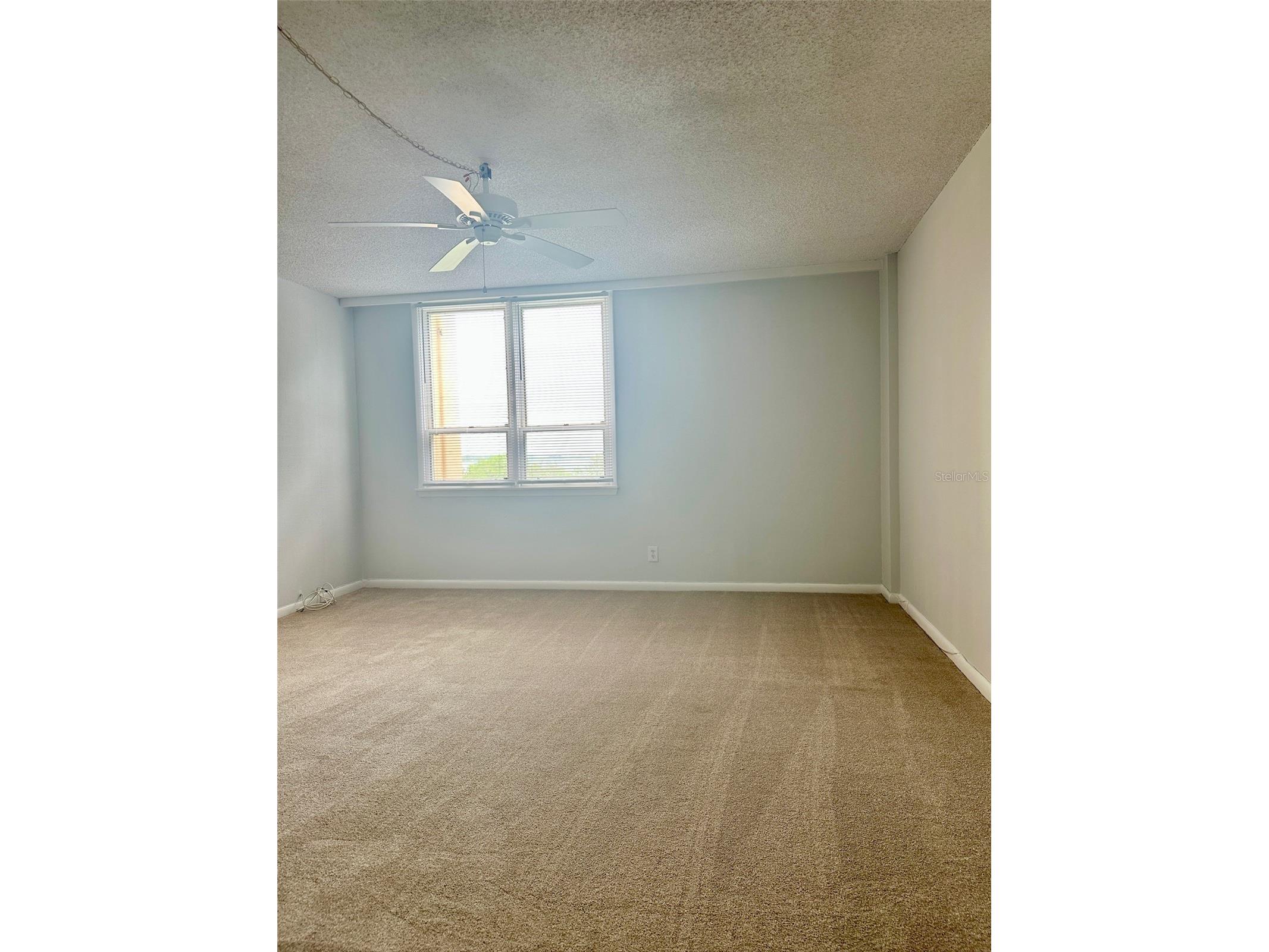 2617 Cove Cay Drive #311 Clearwater FL 33760 TB8514785 image33