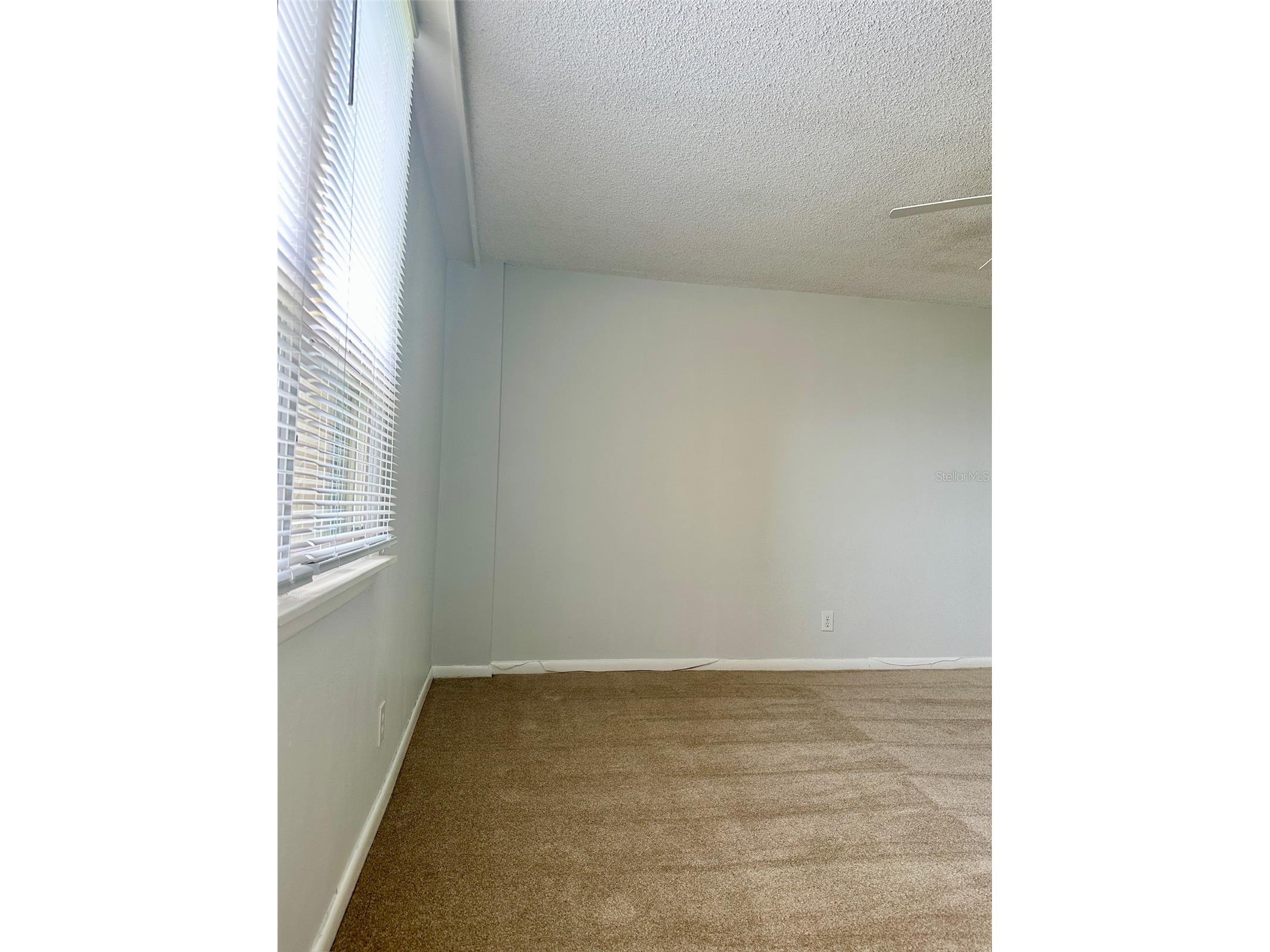 2617 Cove Cay Drive #311 Clearwater FL 33760 TB8514785 image40