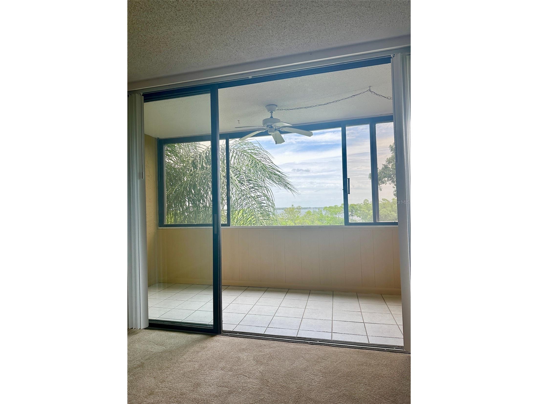 2617 Cove Cay Drive #311 Clearwater FL 33760 TB8514785 image49