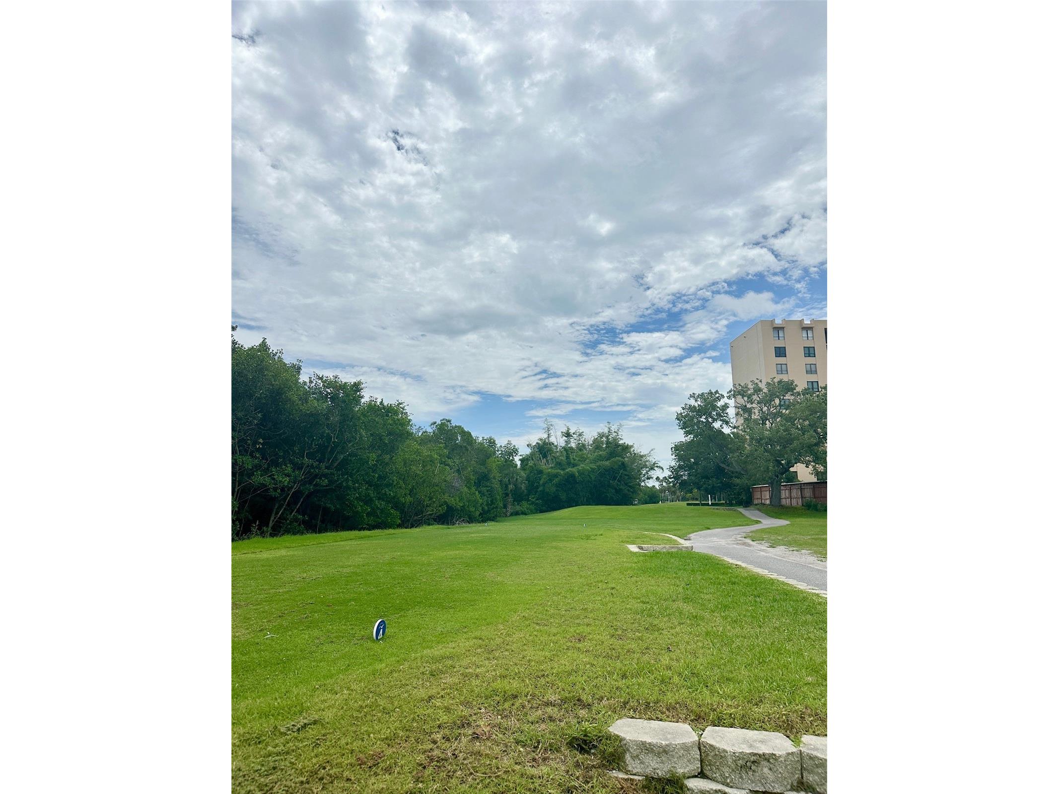 2617 Cove Cay Drive #311 Clearwater FL 33760 TB8514785 image54